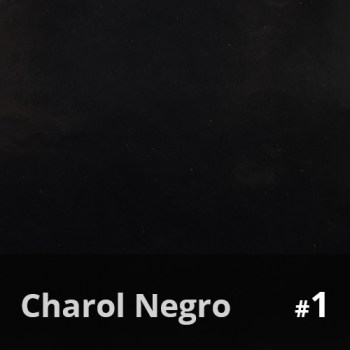 Charol Negro 1